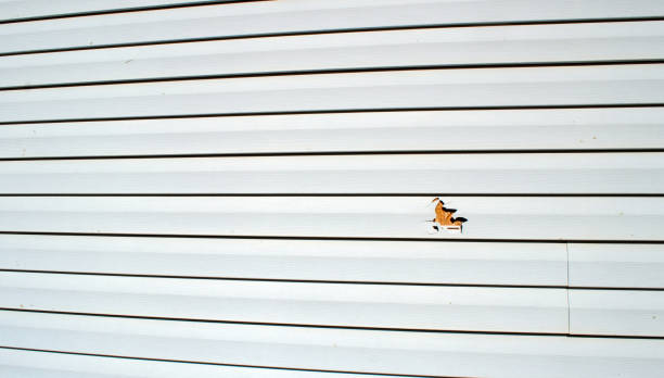 Affordable siding repair and maintenance services in Ord, NE